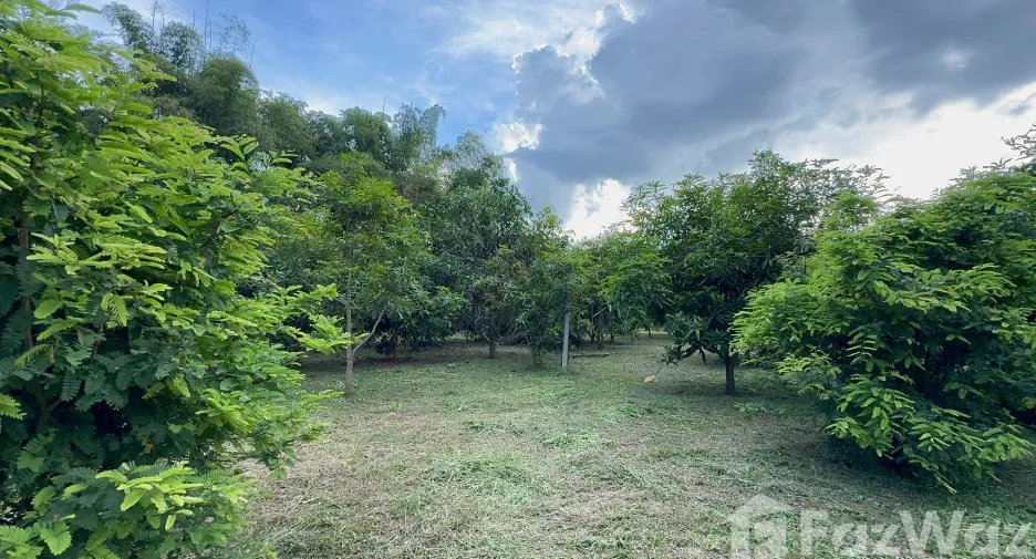 For sale land in Mueang Lamphun, Lamphun