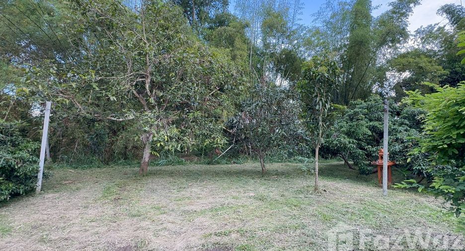 For sale land in Mueang Lamphun, Lamphun