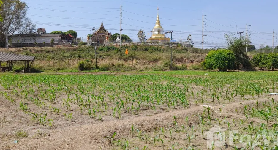 出售 土地 在 Mueang Lamphun, Lamphun