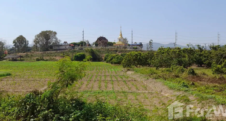 出售 土地 在 Mueang Lamphun, Lamphun