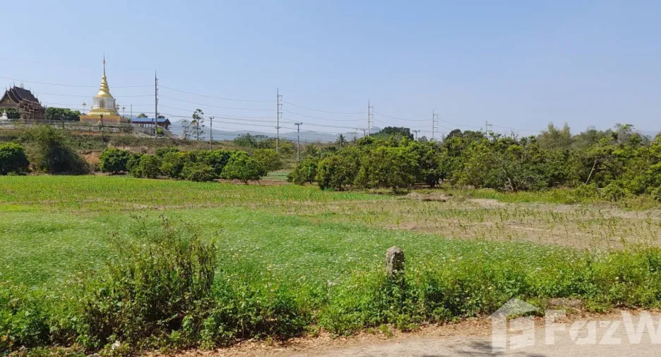 出售 土地 在 Mueang Lamphun, Lamphun