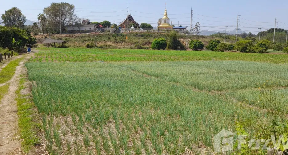 出售 土地 在 Mueang Lamphun, Lamphun