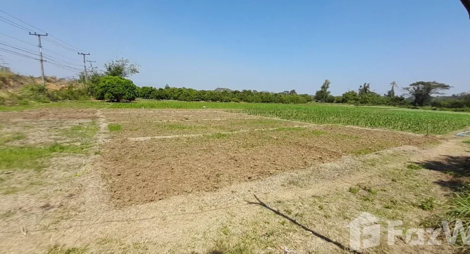 出售 土地 在 Mueang Lamphun, Lamphun