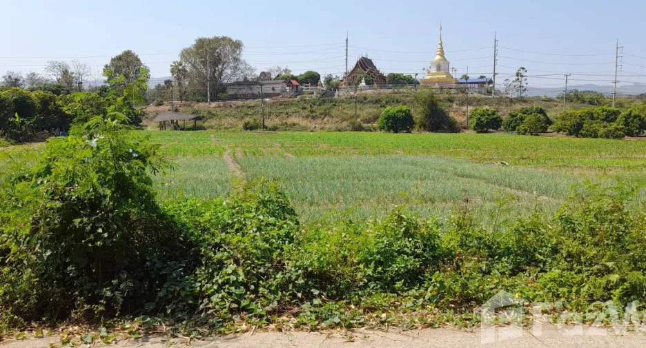 出售 土地 在 Mueang Lamphun, Lamphun