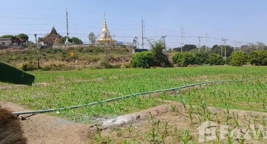 出售 土地 在 Mueang Lamphun, Lamphun