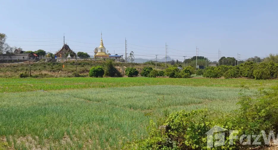 出售 土地 在 Mueang Lamphun, Lamphun