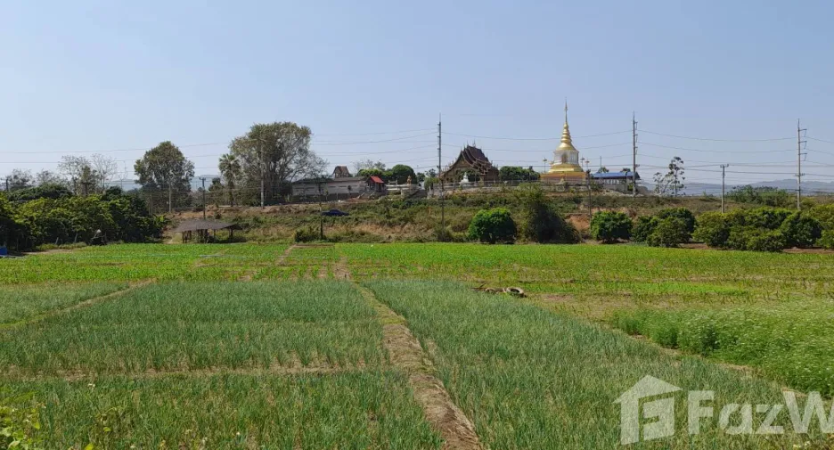 出售 土地 在 Mueang Lamphun, Lamphun