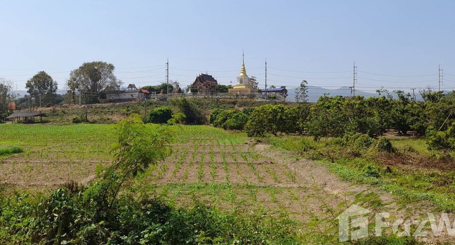 For sale land in Mueang Lamphun, Lamphun