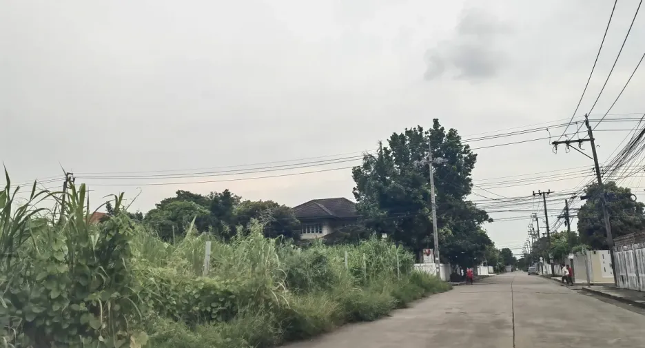 For sale land in Prawet, Bangkok
