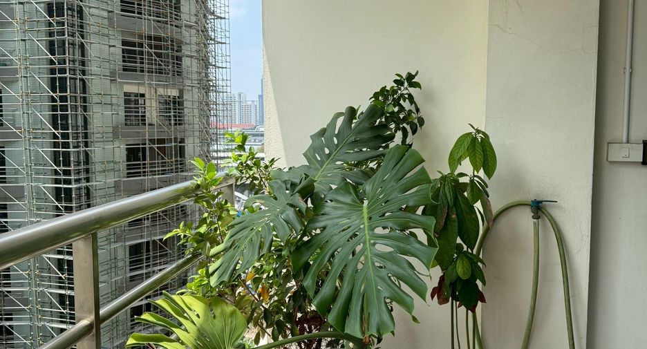 For rent 1 bed condo in Pathum Wan, Bangkok