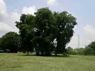 出售 土地 在 Watthana Nakhon, Sa Kaeo
