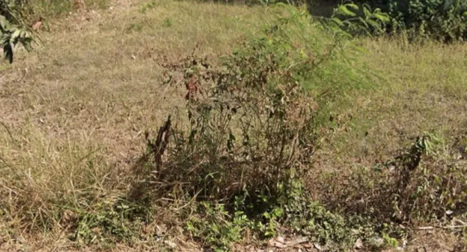 For sale land in Mueang Surin, Surin