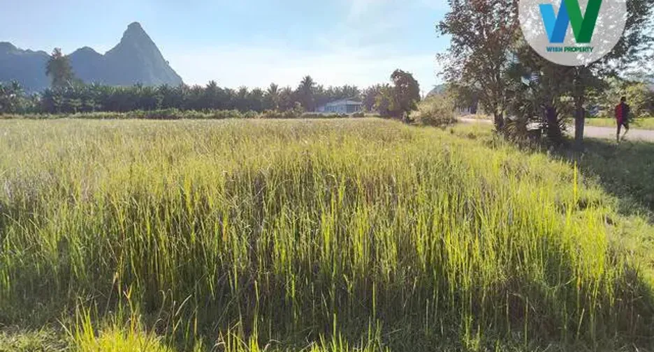 Grundstück zum Kauf in Mueang Phatthalung, Phatthalung