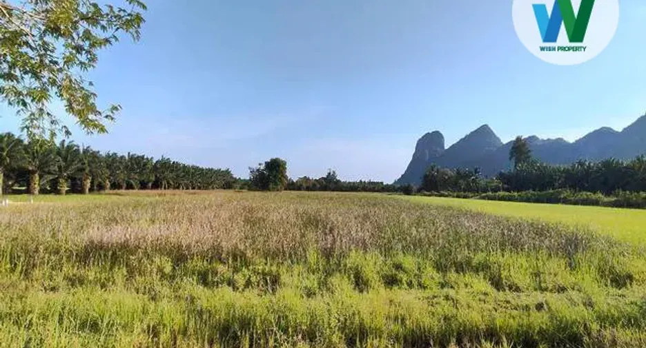 Grundstück zum Kauf in Mueang Phatthalung, Phatthalung
