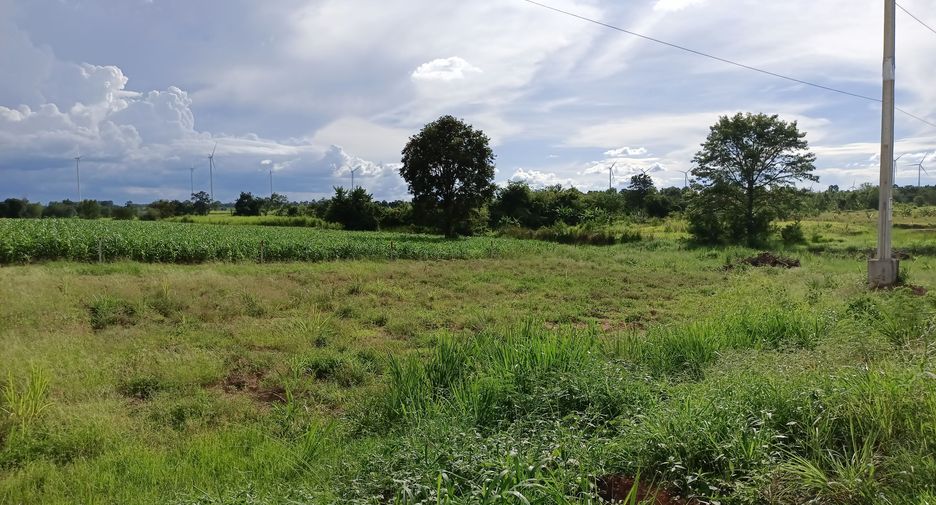 Grundstück zum Kauf in Sikhio, Nakhon Ratchasima
