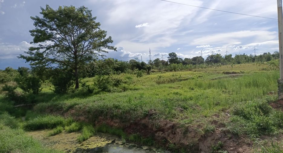 Grundstück zum Kauf in Sikhio, Nakhon Ratchasima