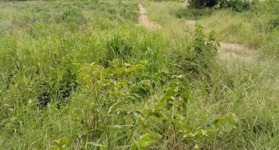 For sale land in Si Racha, Chonburi