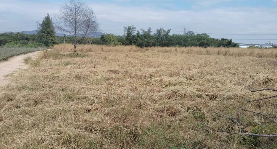 For sale land in Si Racha, Chonburi