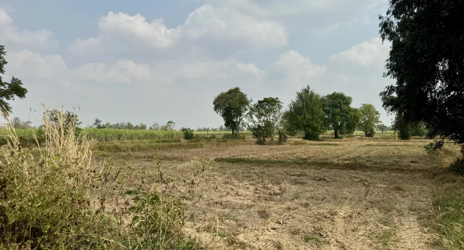 For sale land in Huai Thalaeng, Nakhon Ratchasima