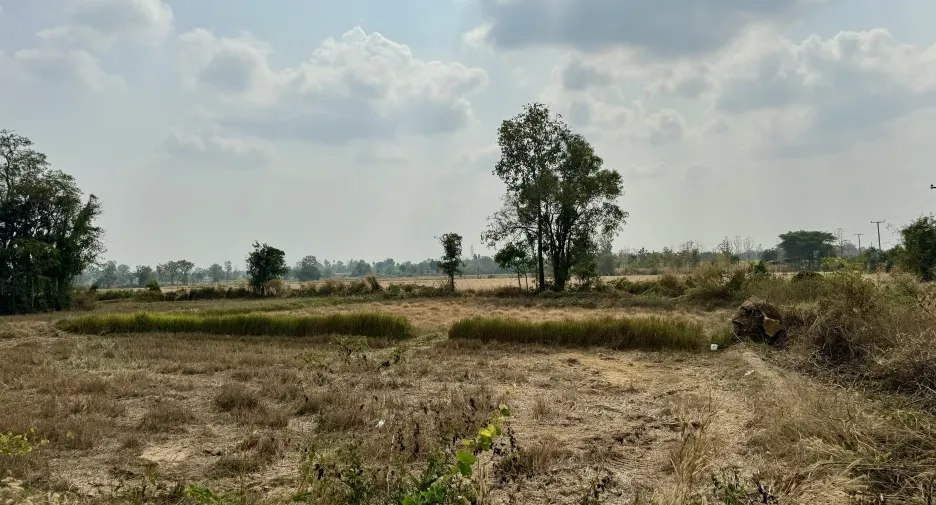 For sale land in Huai Thalaeng, Nakhon Ratchasima