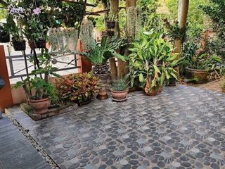 À vendre 4 chambres maison à Phra Pradaeng, Samut Prakan