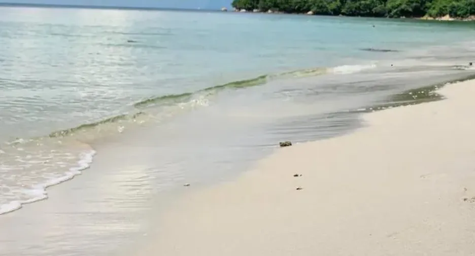 For rent 2 bedrooms villa in Ko Samui, Surat Thani