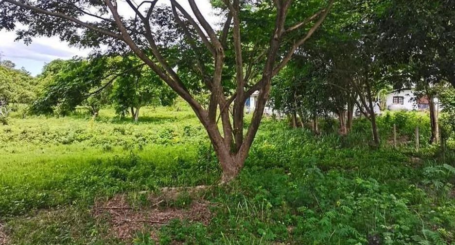 Grundstück zum Kauf in San Kamphaeng, Chiang Mai