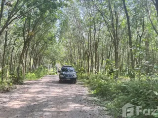 For sale land in Khanom, Nakhon Si Thammarat