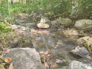 For sale land in Khanom, Nakhon Si Thammarat