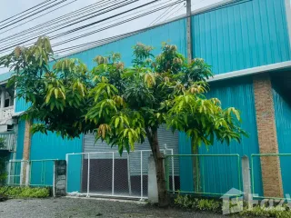 Haus zum Kauf mit 2 Zimmer in Mueang Chiang Rai, Chiang Rai
