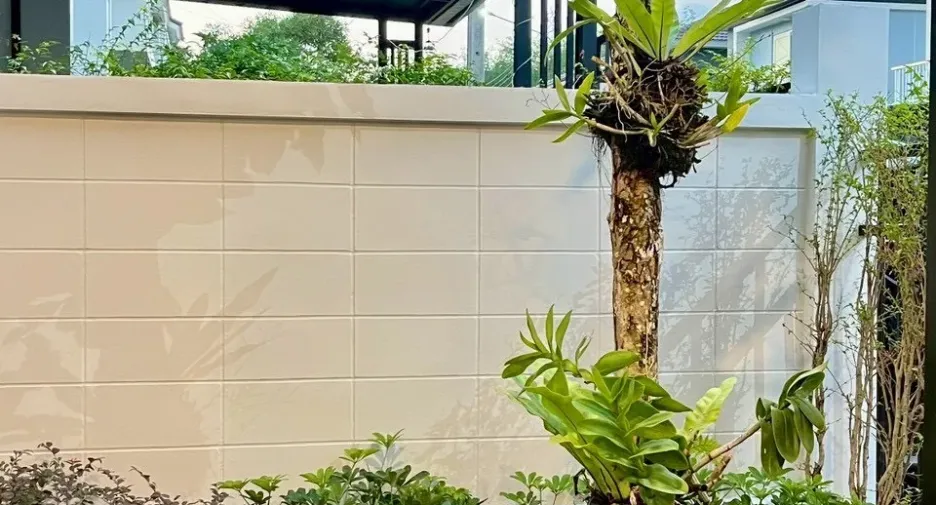 For rent 3 bedrooms house in Thalang, Phuket