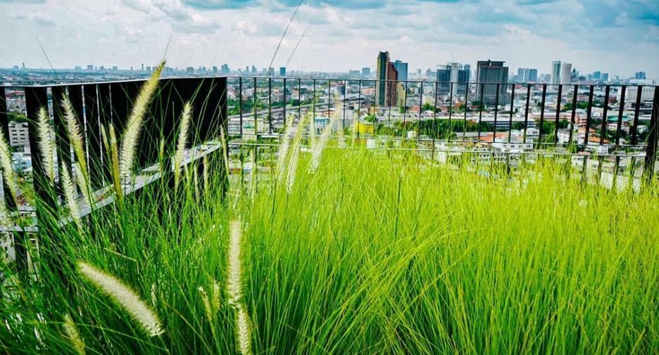For sale and for rent 1 bed condo in Bang Phlat, Bangkok
