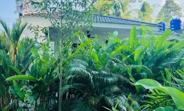 出租 1 卧室 独立屋 在 Koh Phangan, 素叻