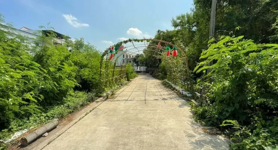 For sale land in Prawet, Bangkok