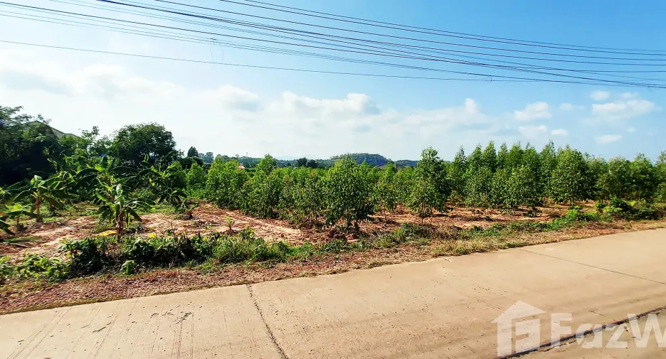 For sale land in Klaeng, Rayong