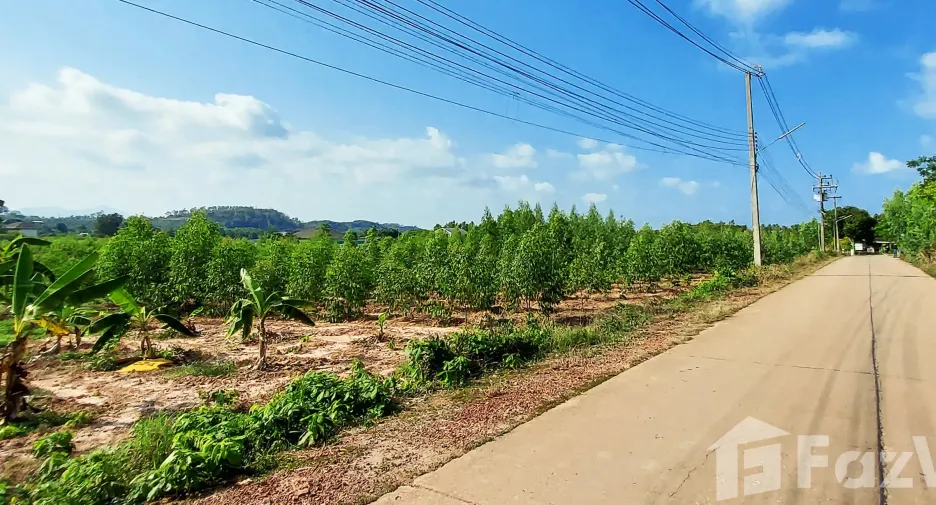 For sale land in Klaeng, Rayong