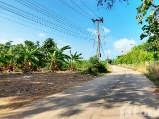 出售 土地 在 Klaeng, Rayong