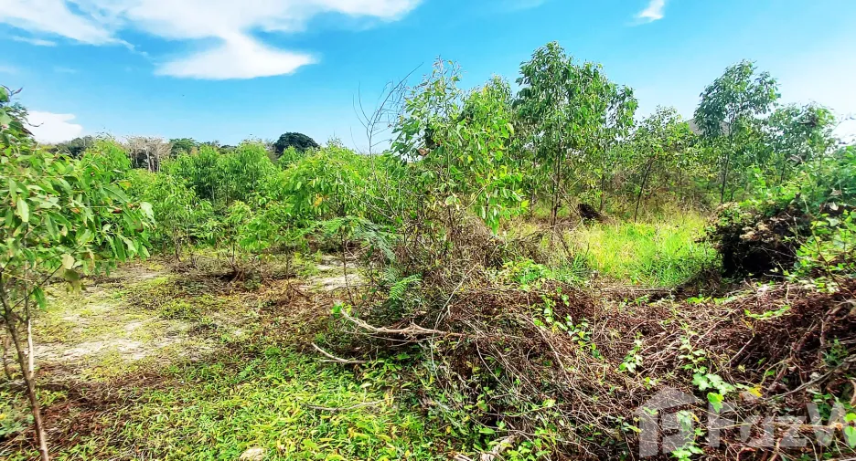 For sale land in Klaeng, Rayong