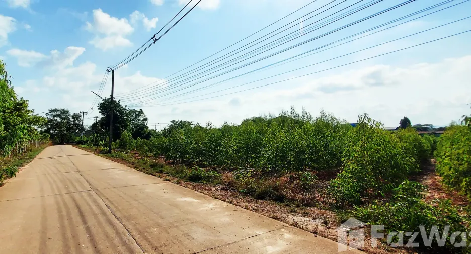 For sale land in Klaeng, Rayong