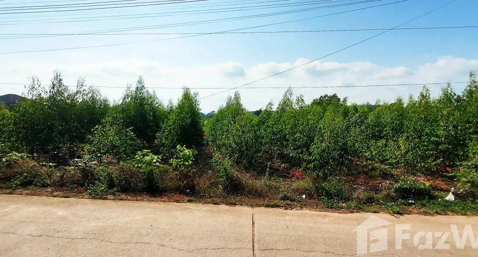 For sale land in Klaeng, Rayong