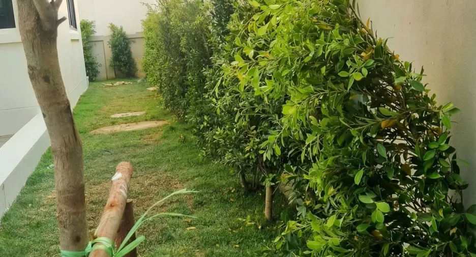 For rent 4 bedrooms house in Hang Dong, Chiang Mai