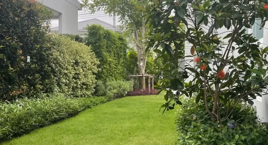 For rent 4 bedrooms house in Prawet, Bangkok