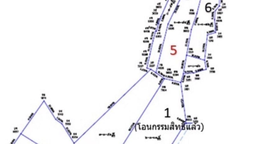 For sale land in Thalang, Phuket