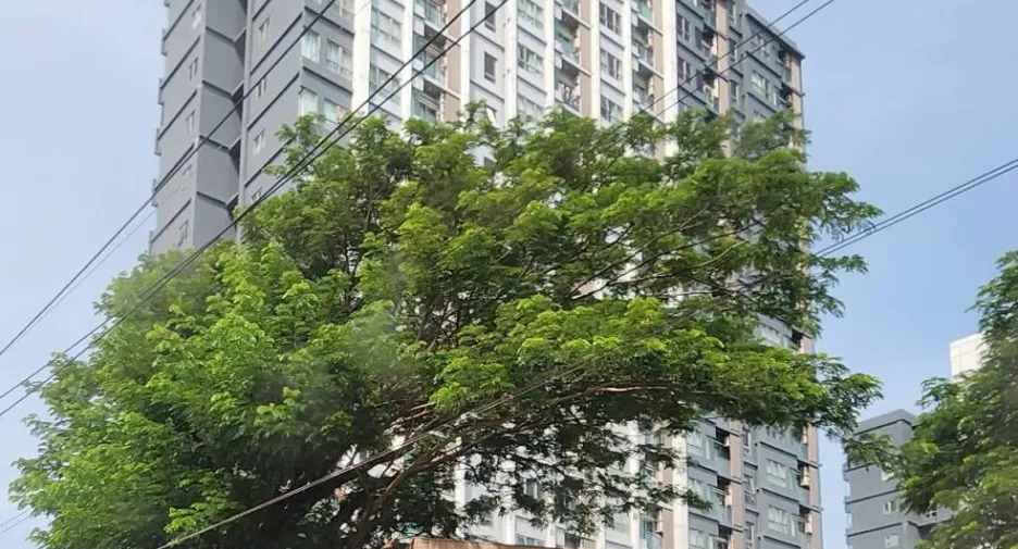 ขาย 1 เตียง คอนโด ใน บางขุนเทียน, กรุงเทพฯ