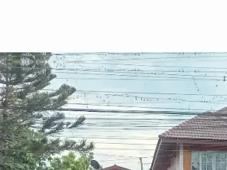 出售 4 卧室 独立屋 在 Bang Bo, Samut Prakan