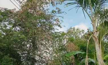 For sale 4 bedrooms house in Bang Bo, Samut Prakan