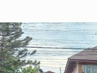 Casa en venta de 4 habitaciones en Bang Bo, Samut Prakan