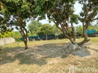 出售 土地 在 San Sai, Chiang Mai