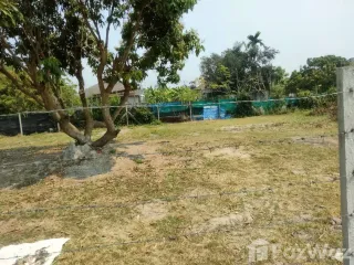 出售 土地 在 San Sai, Chiang Mai