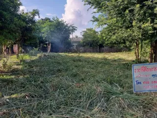For sale land in Doi Lo, Chiang Mai